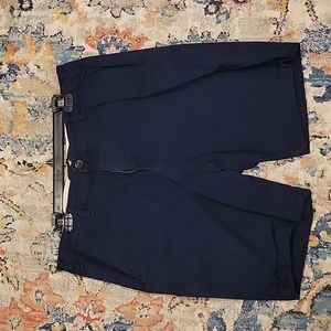 American Eagle Navy Size 36 Khaki Shorts